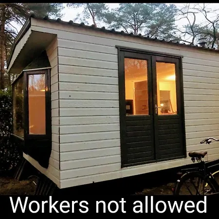 Wulft 47 Zonnig Gezellig 6P Chalet Met Zwembad In Bosrijke Omgeving Op Familie Camping De Vossenburcht IJhorst Exterior photo