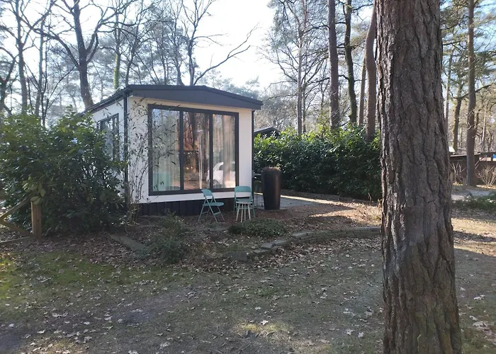 Wulft 47 Zonnig Gezellig 6P Chalet Met Zwembad In Bosrijke Omgeving Op Familie Camping De Vossenburcht