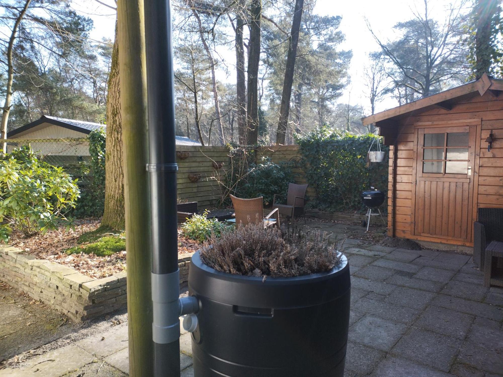 Wulft 47: Sunny 6-person With Pool In Forest Chalet *