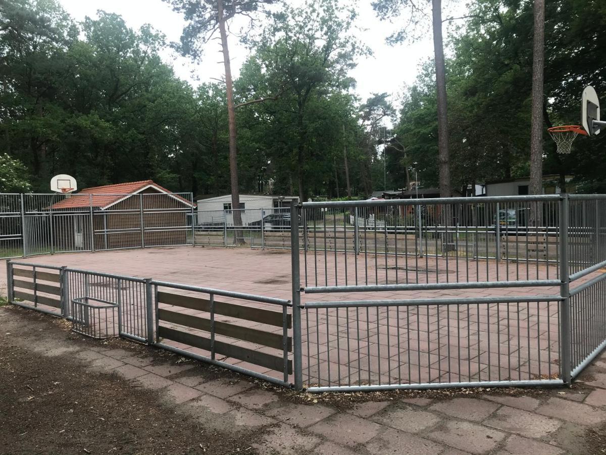 Wulft 47: Sunny 6-person With Pool In Forest Chalet IJhorst