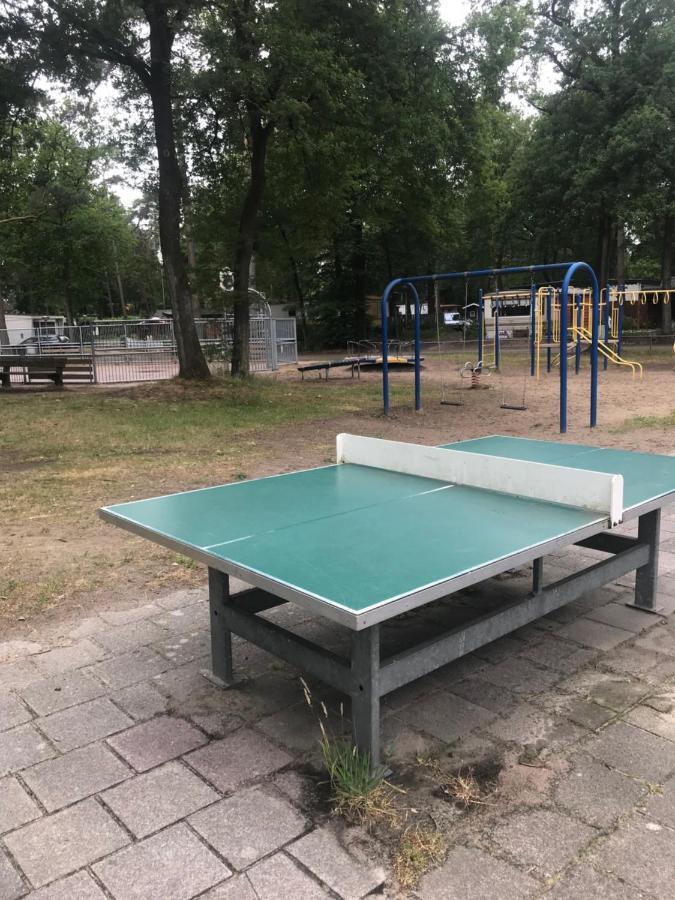 Wulft 47: Sunny 6-person With Pool In Forest Chalet IJhorst
